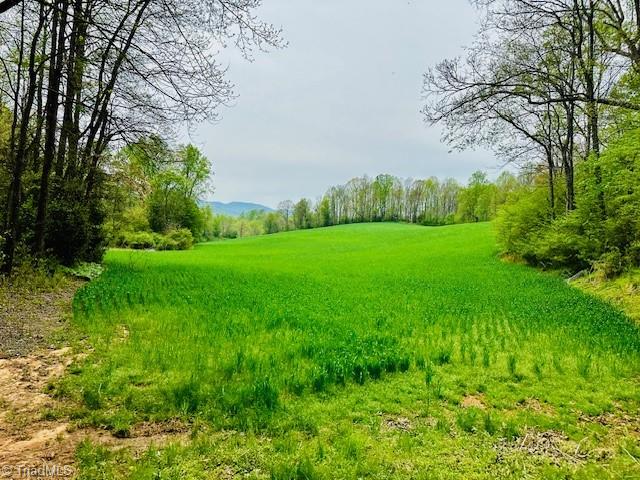 Local Road, Mayodan, North Carolina image 17