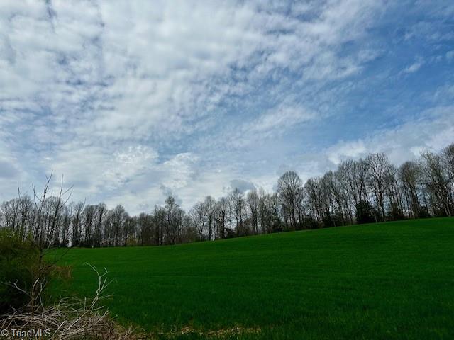 Local Road, Mayodan, North Carolina image 16