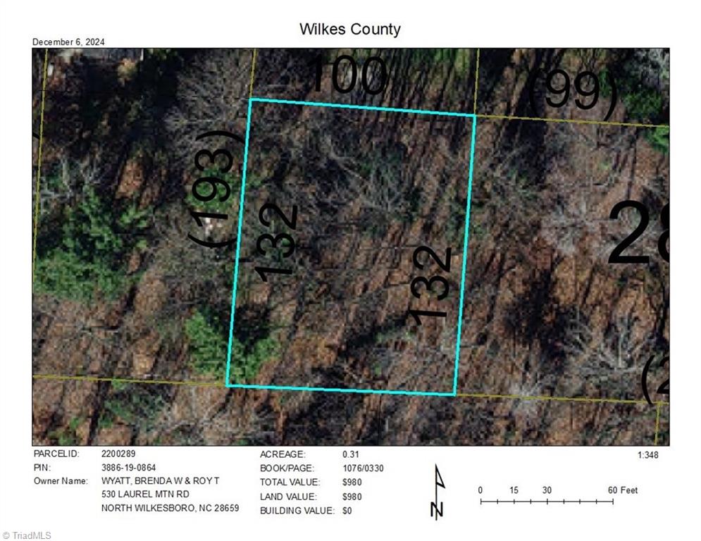 TBD Laurel Mountain Road, North Wilkesboro, North Carolina image 1