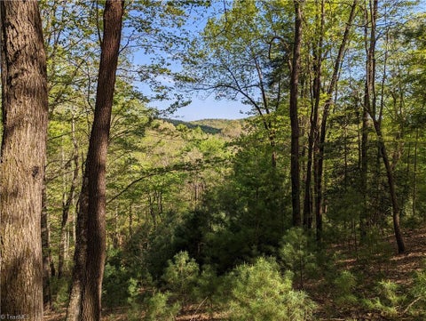 Vacant Land For Sale - TBD Sutters Ridge Road #LOT 94<br/> McGrady, NC 28649
