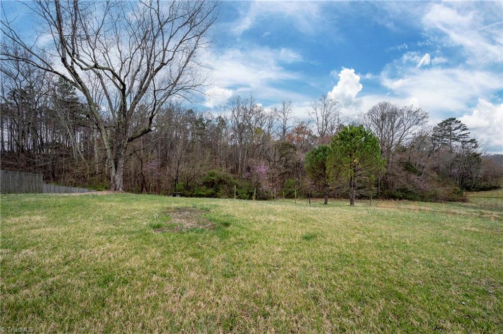 306 Plemmons Road, Lewisville, North Carolina image 30
