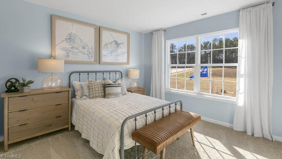 290 Falcon Lane, Lexington, North Carolina image 22
