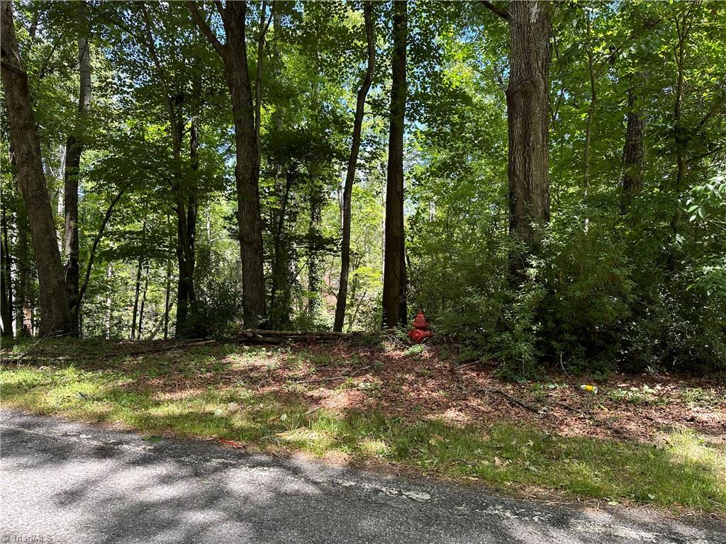 TBD S Recreation Road, Wilkesboro, North Carolina image 5