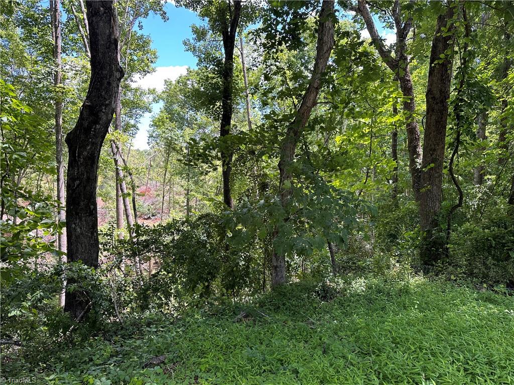 TBD S Recreation Road, Wilkesboro, North Carolina image 11