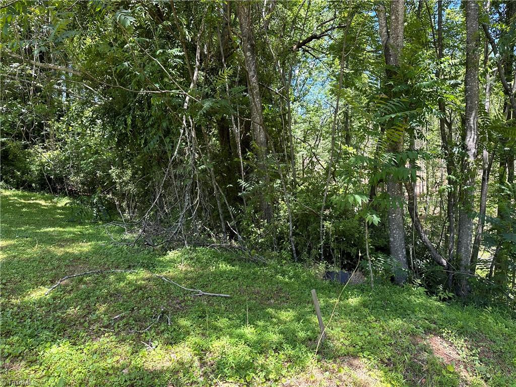 TBD S Recreation Road, Wilkesboro, North Carolina image 13