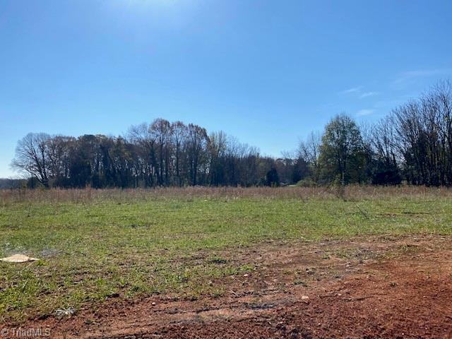 Corner Of Hwy 67 & Flint Hill Road, East Bend, North Carolina image 11