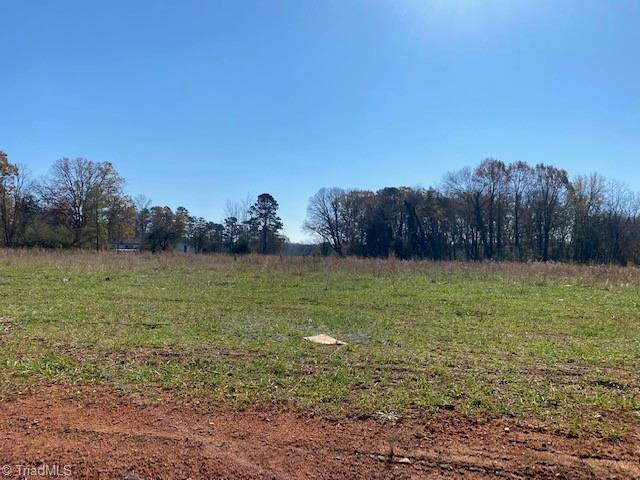 Corner Of Hwy 67 & Flint Hill Road, East Bend, North Carolina image 12