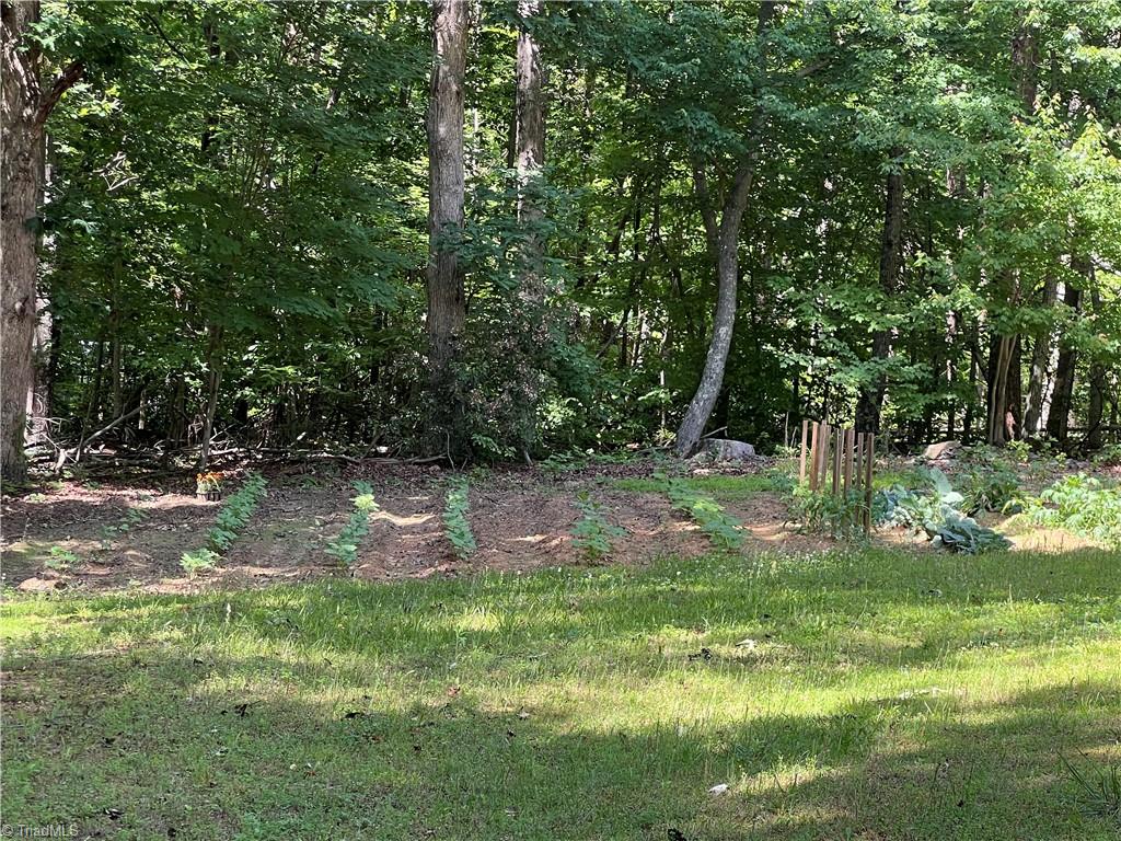 800 Smothers Road, Madison, North Carolina image 46