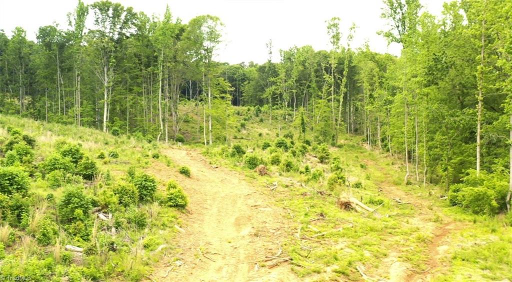 Lot 9 Skeens Mill Road, Trinity, North Carolina image 9