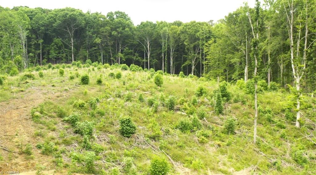 Lot 9 Skeens Mill Road, Trinity, North Carolina image 3