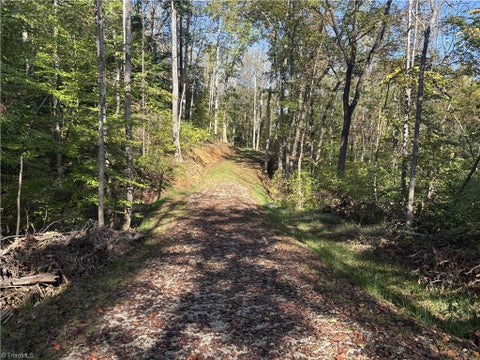 Vacant Land For Sale - 000 Quaker Road<br/> Mount Airy, NC 27030