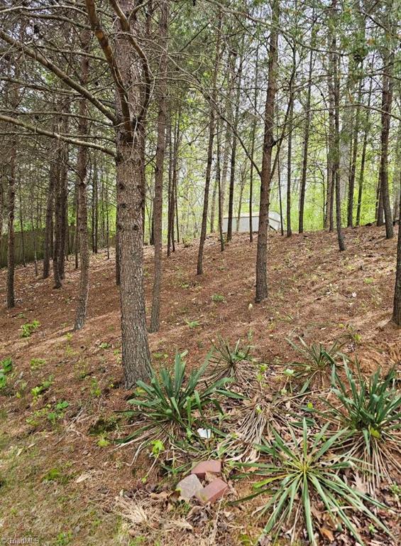 411 Harmon Ridge Lane, Kernersville, North Carolina image 30