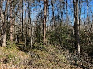 Lot 6 Stevens Drive, Jonesville, North Carolina image 5