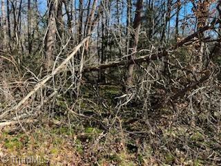 Lot 6 Stevens Drive, Jonesville, North Carolina image 6