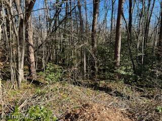 Lot 6 Stevens Drive, Jonesville, North Carolina image 4