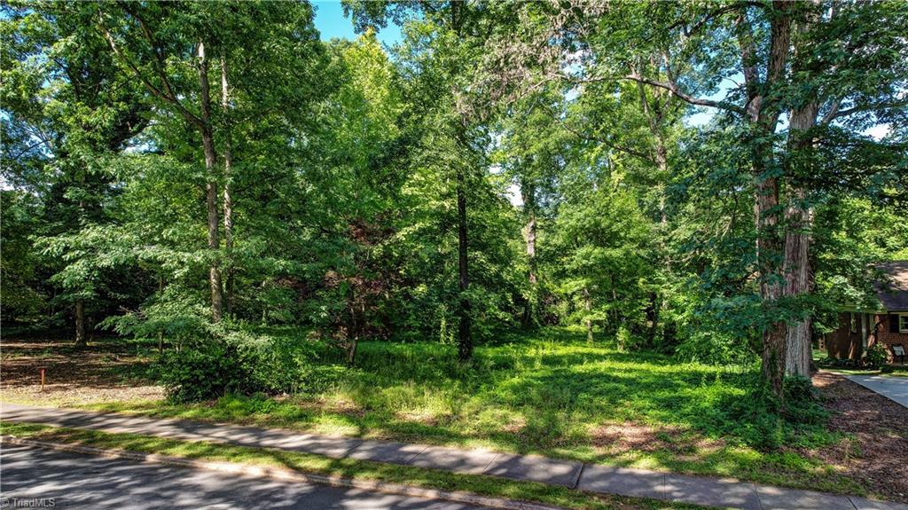 4204- A Henderson Road, Greensboro, North Carolina image 4