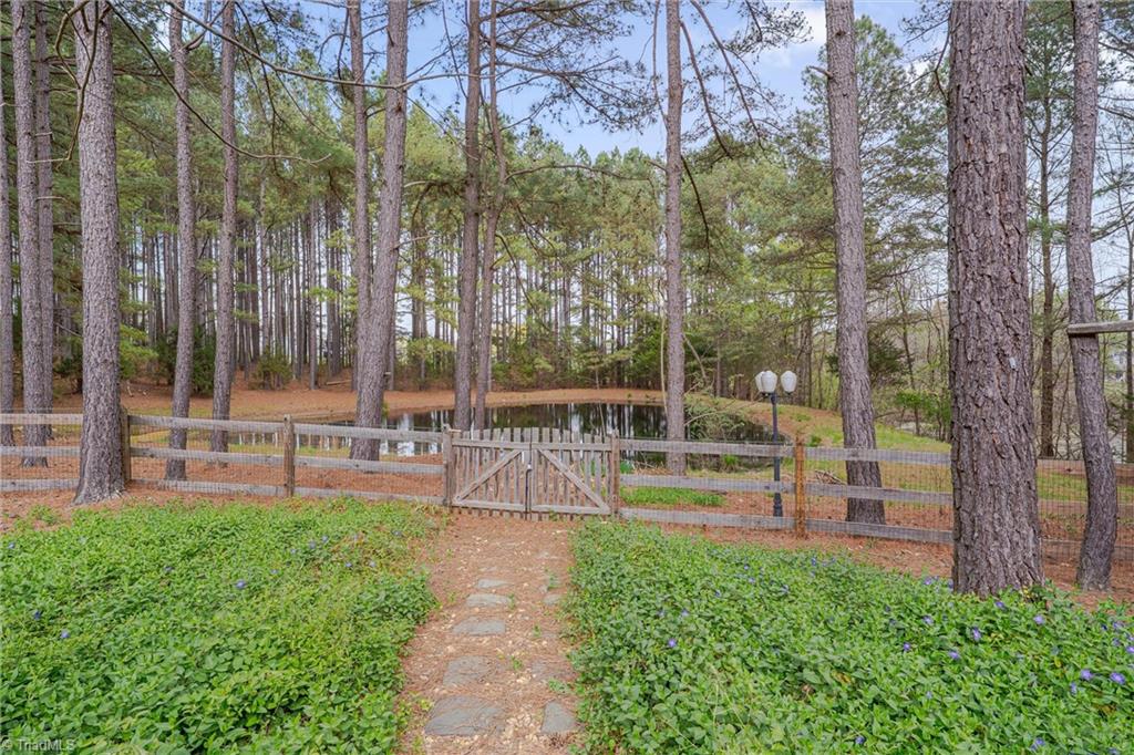 2411 Lynch Store Road, Mebane, North Carolina image 38