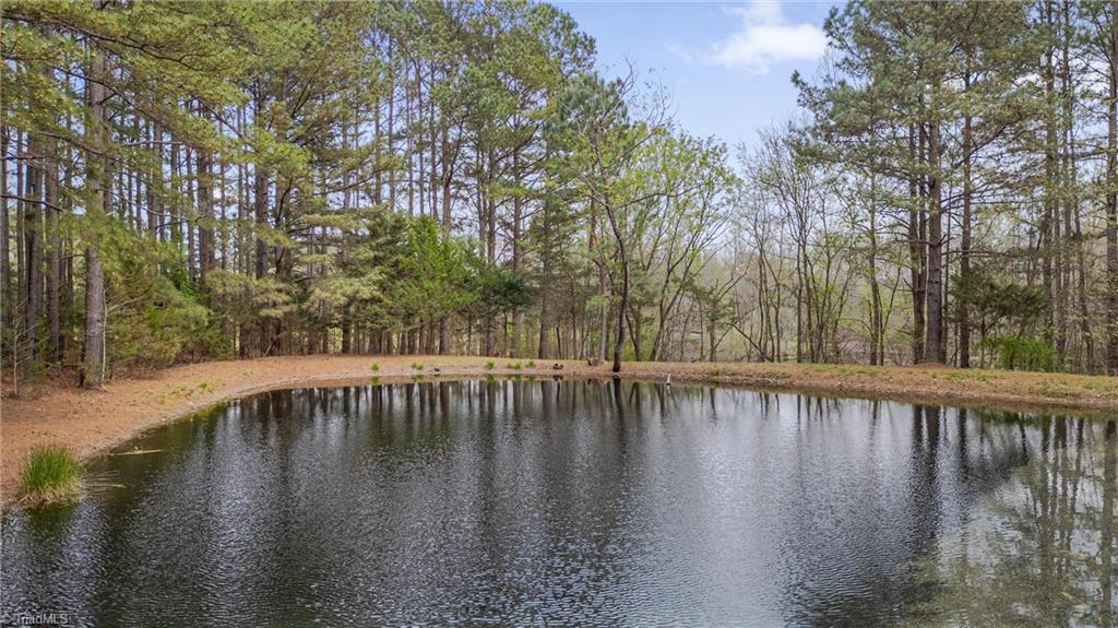 2411 Lynch Store Road, Mebane, North Carolina image 39
