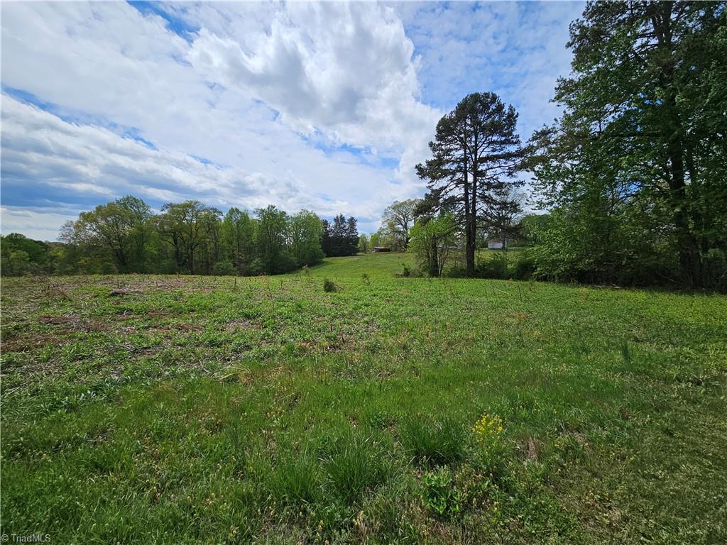 113 Kudzu Creek Trail, Siloam, North Carolina image 8