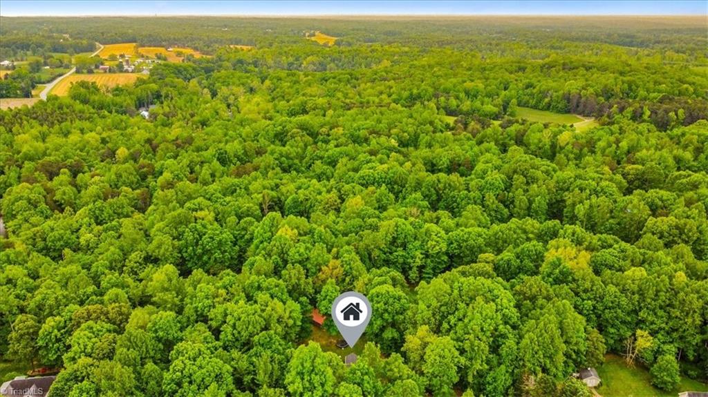 7006 Laurel Point Drive, Gibsonville, North Carolina image 46