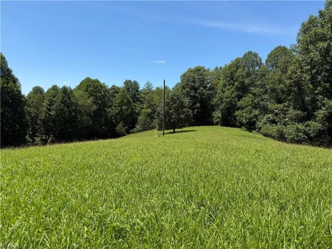 Vacant Land For Sale - TBD Ruritan Park Road<br/> North Wilkesboro, NC 28659
