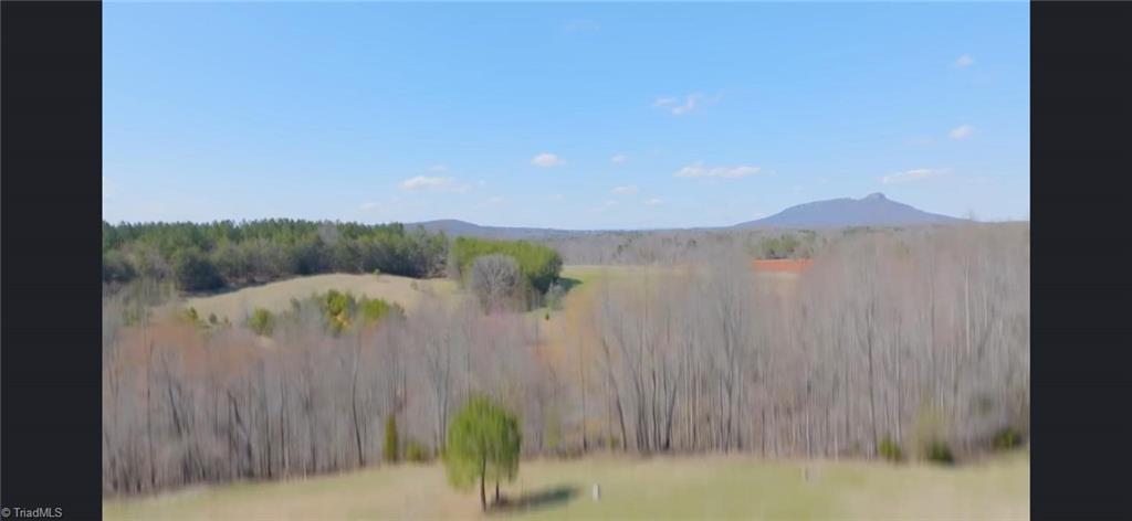 202 Roby Fulk Road, Pinnacle, North Carolina image 8