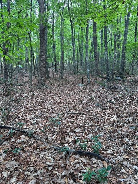 Vacant Land For Sale - 1070 Elm Street<br/> Stokes County, Danbury, NC 27016