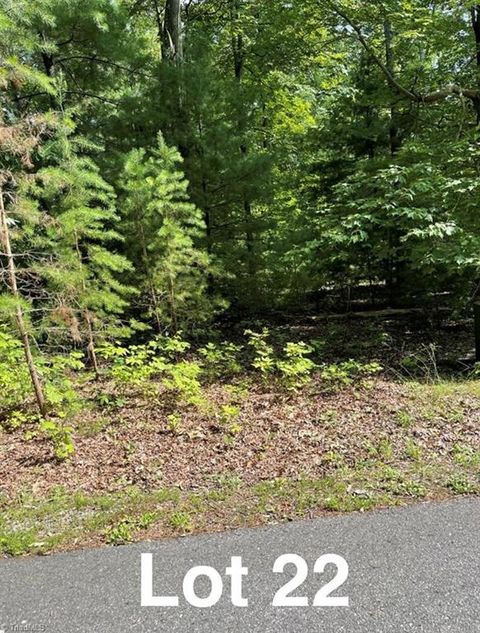 Vacant Land For Sale - LOT 22 Woods Haven Lane<br/> Patrick County, Stuart, VA 24171