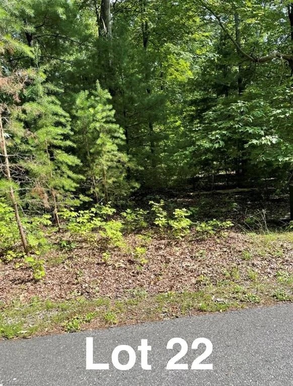 Lot 22 Woods Haven Lane, Stuart, VA, 24171