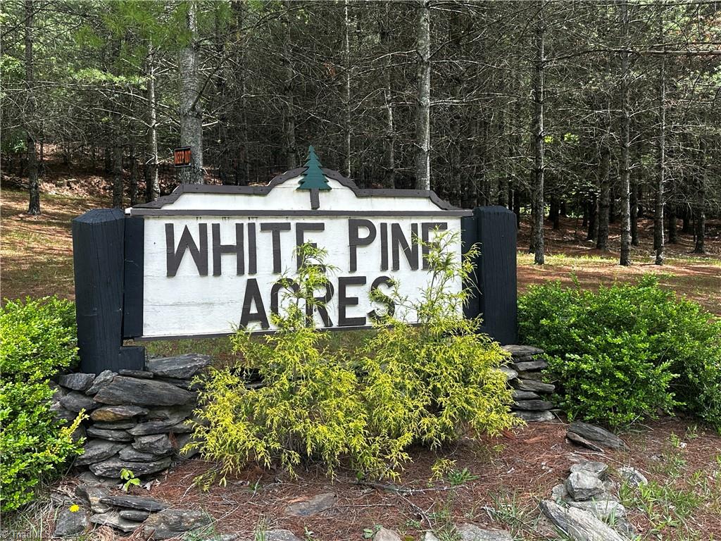 71 Doell Lane, Sparta, North Carolina image 18