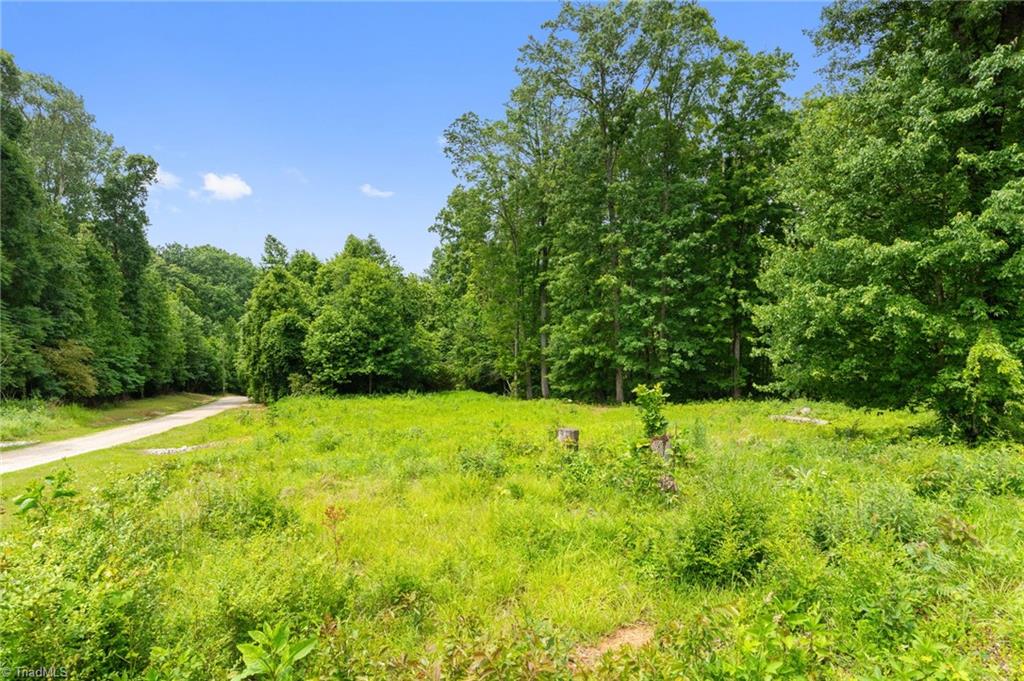 2595 Slate Road, King, North Carolina image 8