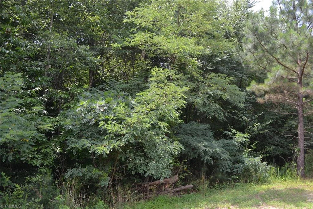 Lot 00 Ponderosa Road, Stoneville, NC, 27048
