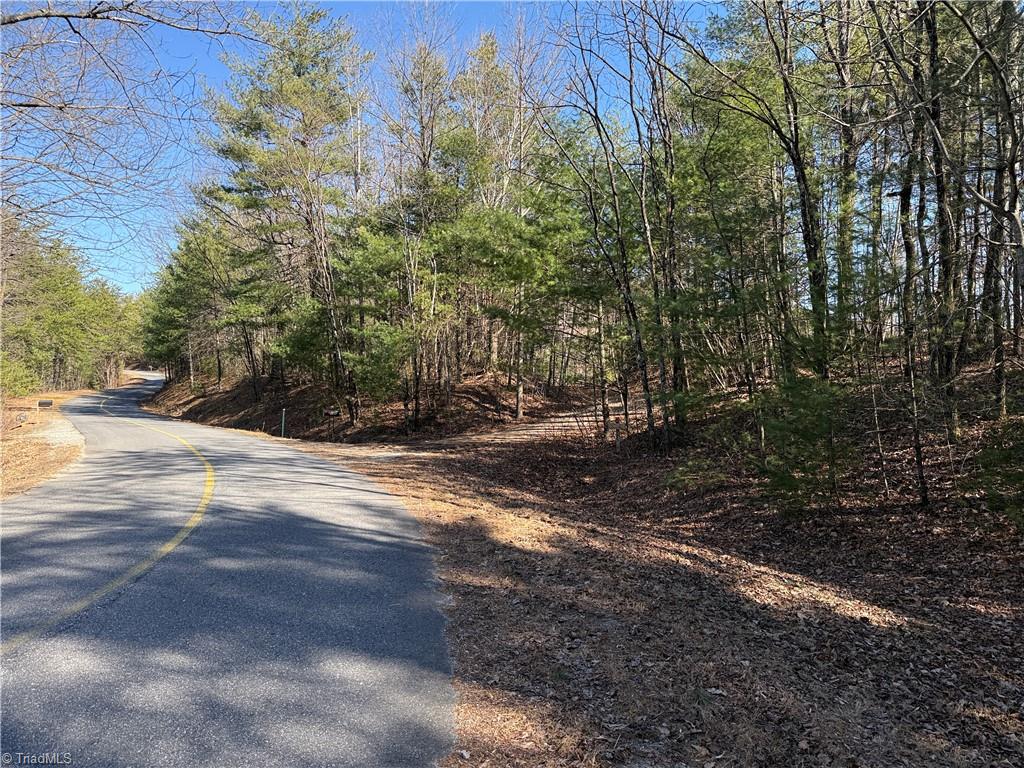 Lot 5 Bobcat Mountain Road, Purlear, North Carolina image 2