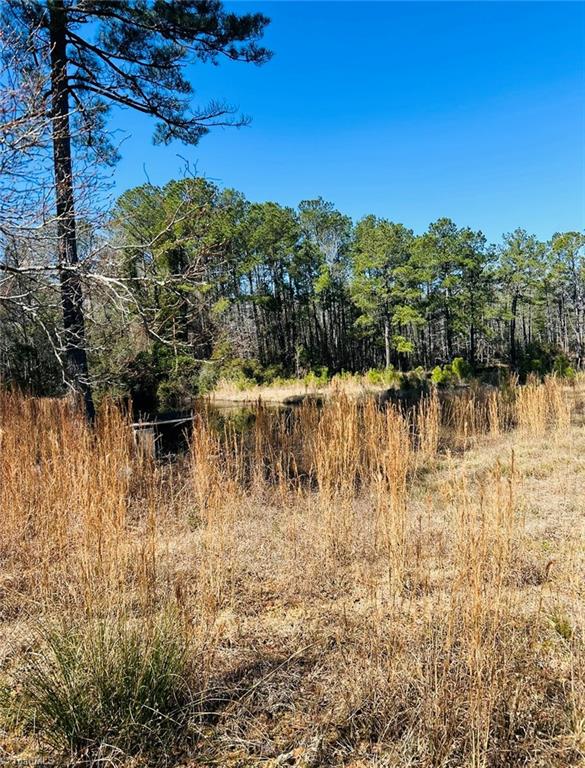 245 Spivey Road, Tabor City, North Carolina image 7