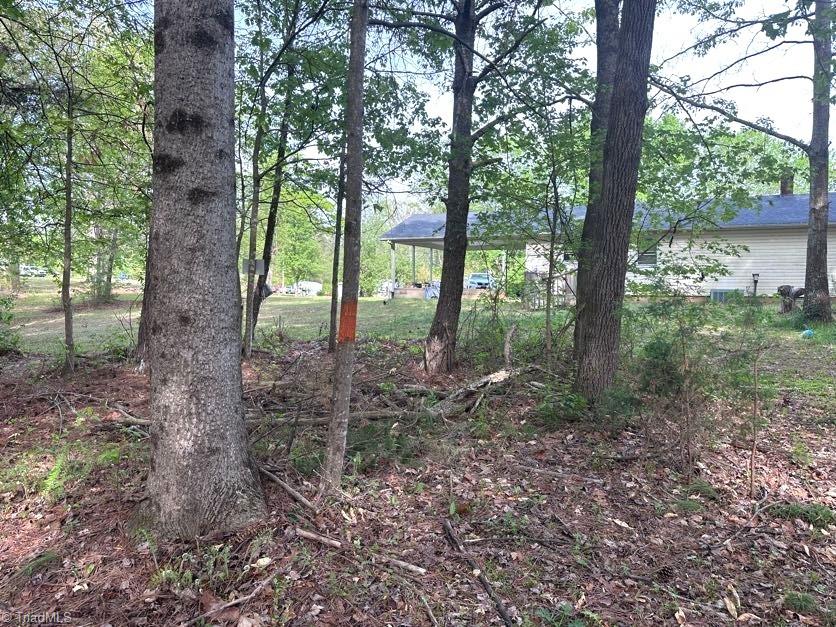 225 Dan Bryant Road, Pilot Mountain, North Carolina image 28