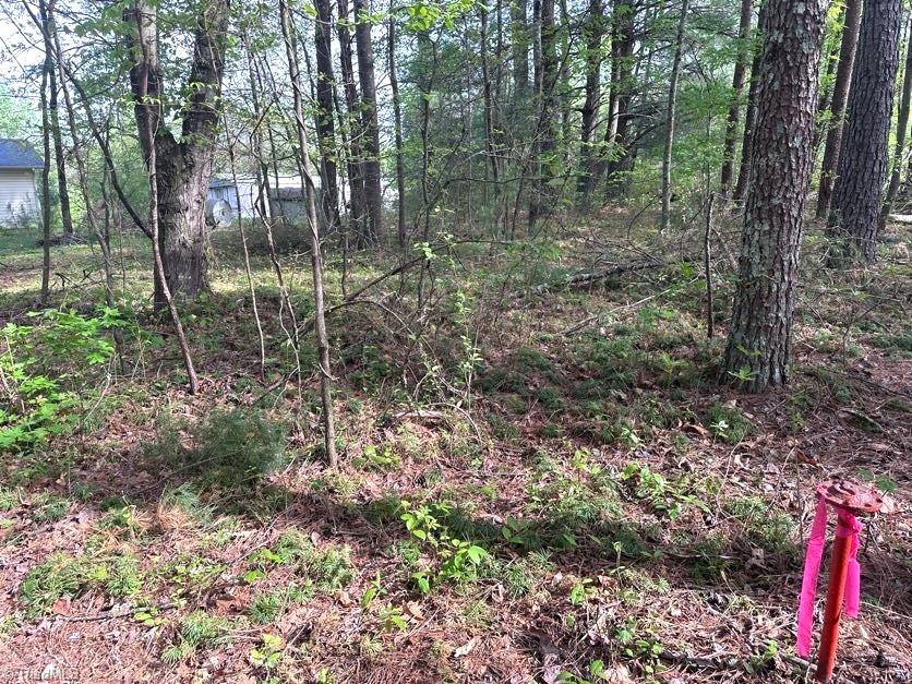 225 Dan Bryant Road, Pilot Mountain, North Carolina image 29