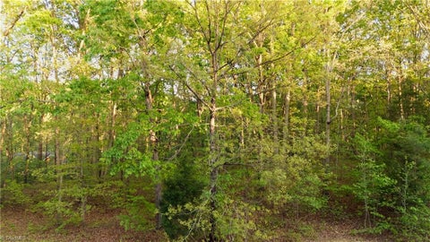 Vacant Land For Sale - 303 Healing Springs Drive<br/> Denton, NC 27239