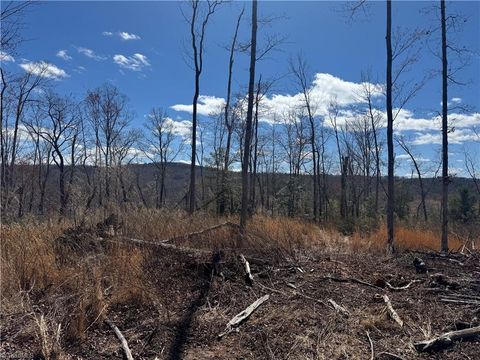 Vacant Land For Sale - 00 Billings Hill Church Road<br/> Traphill, NC 28685