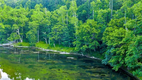 Vacant Land For Sale - TBD Woodview Drive<br/> Ashe County, West Jefferson, NC 28694