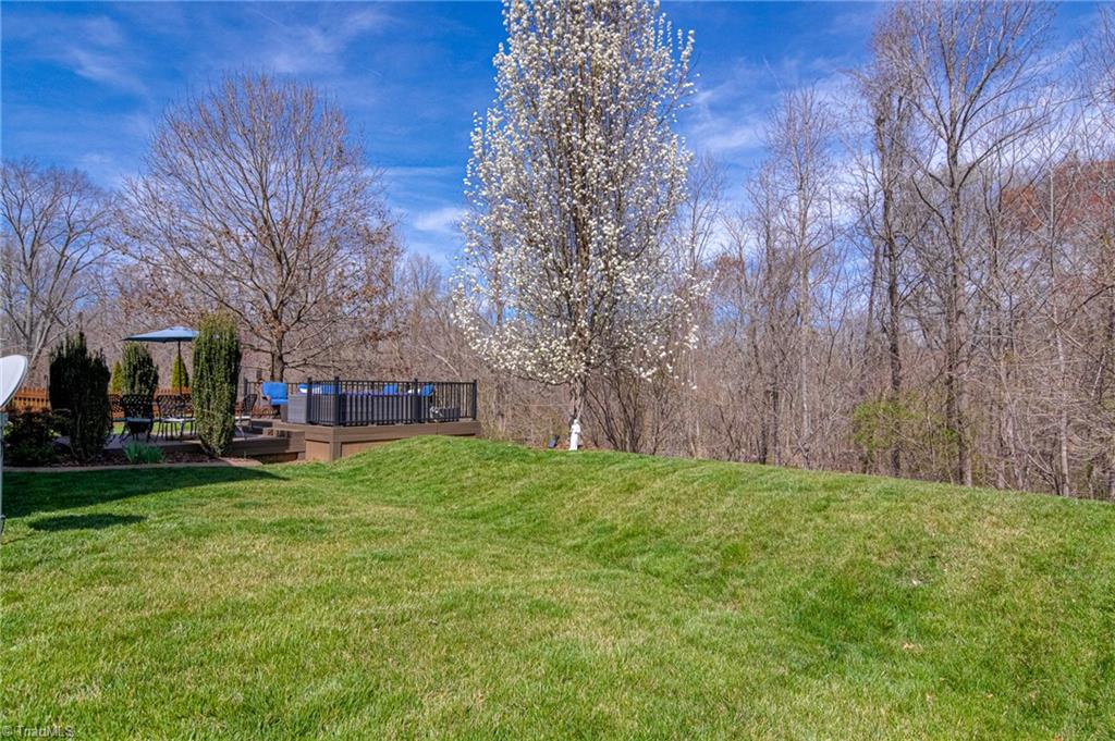 2681 Lamplight Circle, High Point, North Carolina image 48