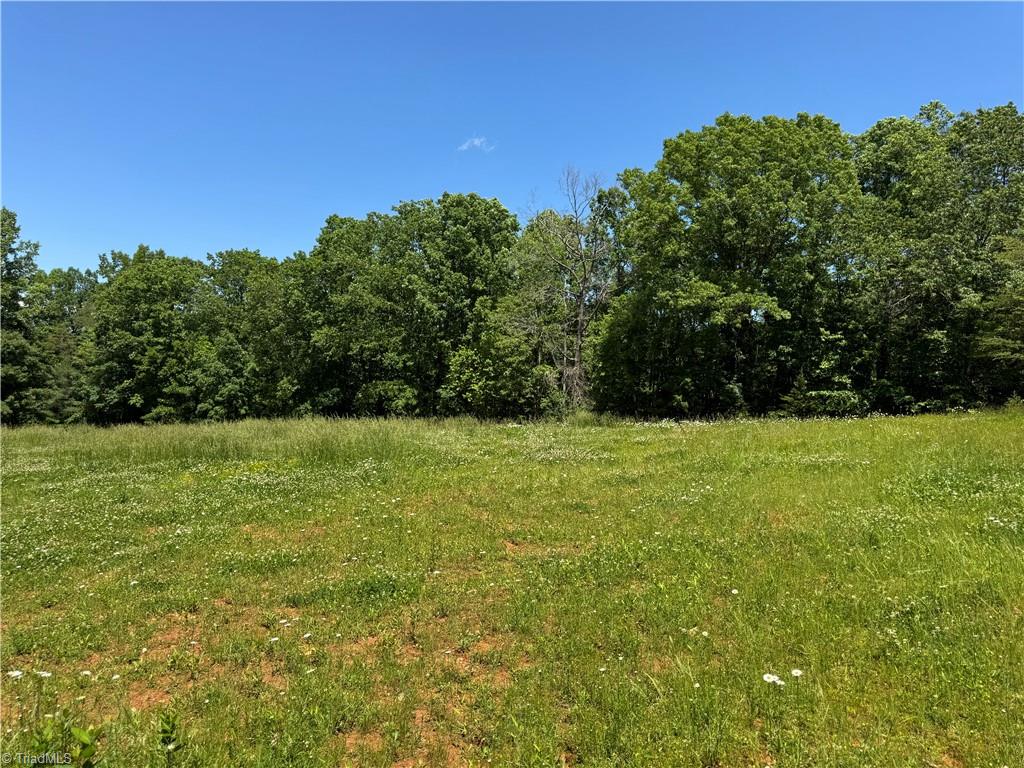 1065 Kiser Acres Road, King, North Carolina image 6