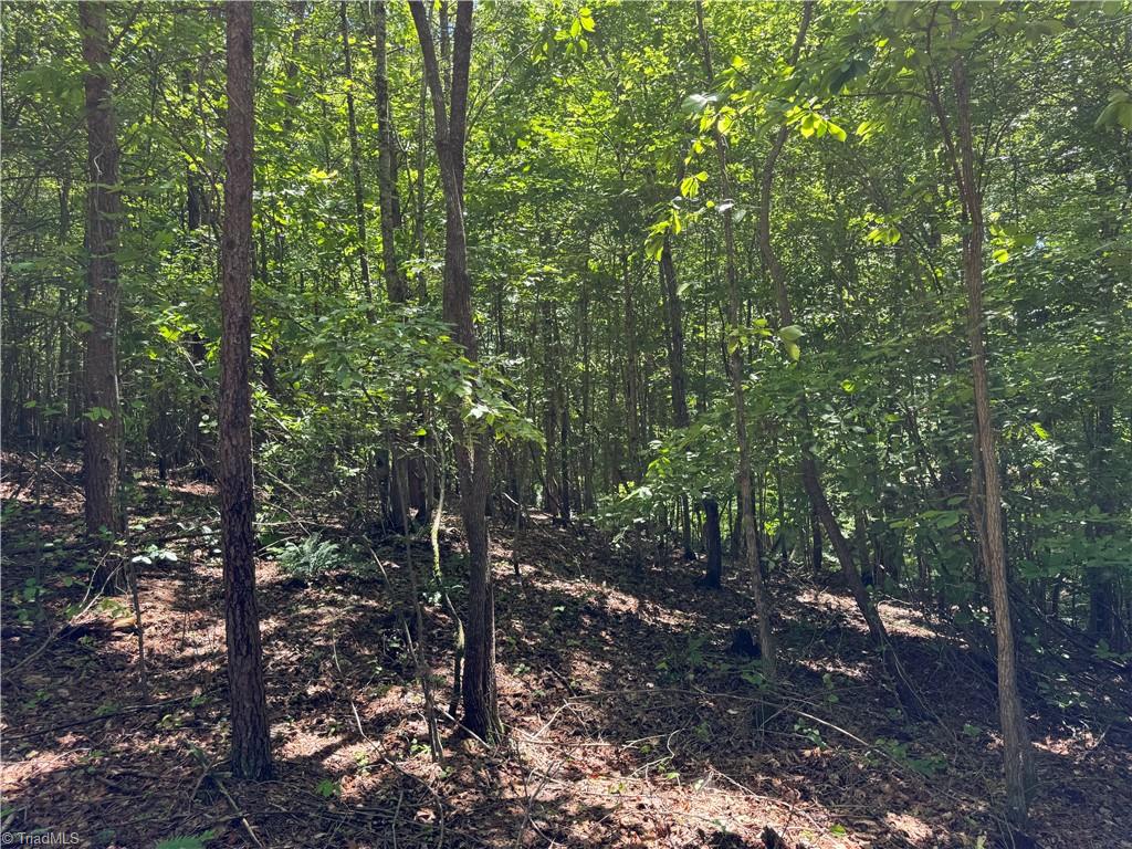 1065 Kiser Acres Road, King, North Carolina image 15