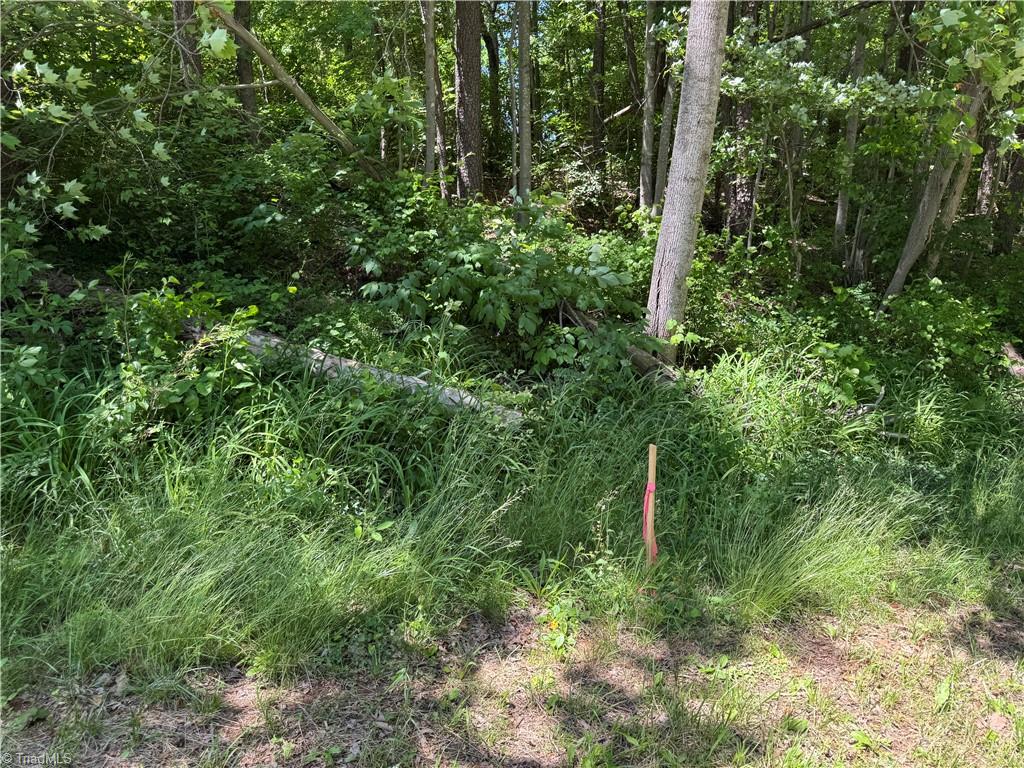 1065 Kiser Acres Road, King, North Carolina image 17