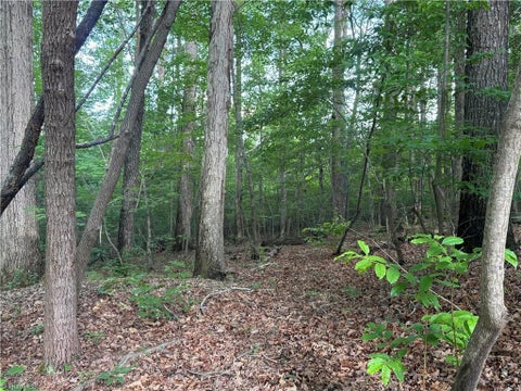Vacant Land For Sale - TRACT 2 Dover Church Road<br/> Seagrove, NC 27341