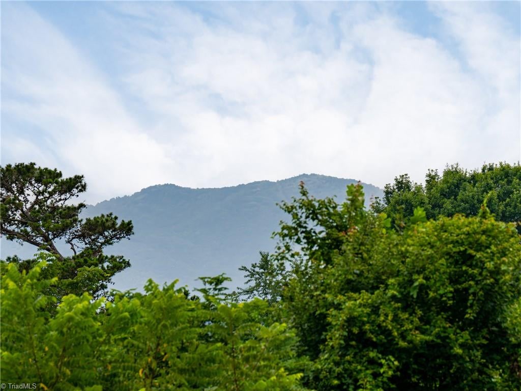 Photo of 3804 Florham Place, Asheville, NC 28806 (MLS # 1230739)