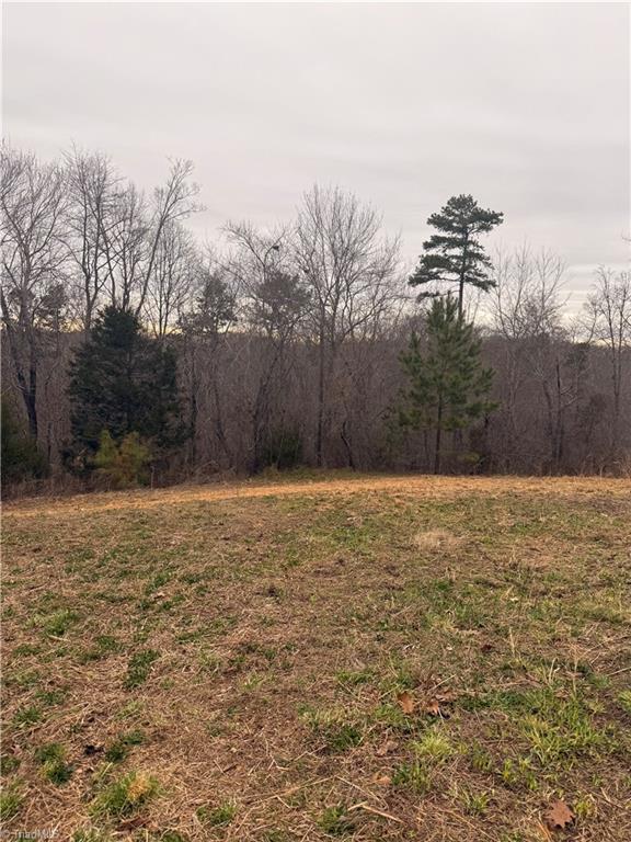 6068 Lanier Hill Road, Denton, North Carolina image 2