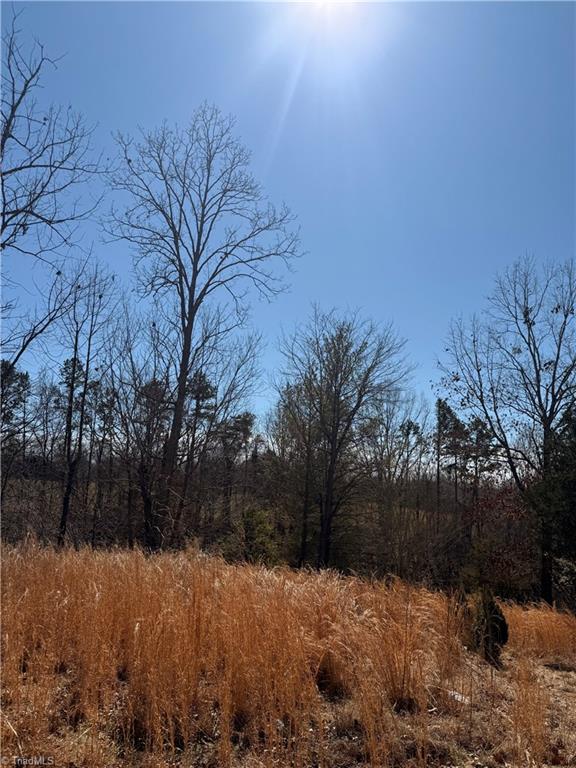 6068 Lanier Hill Road, Denton, North Carolina image 6