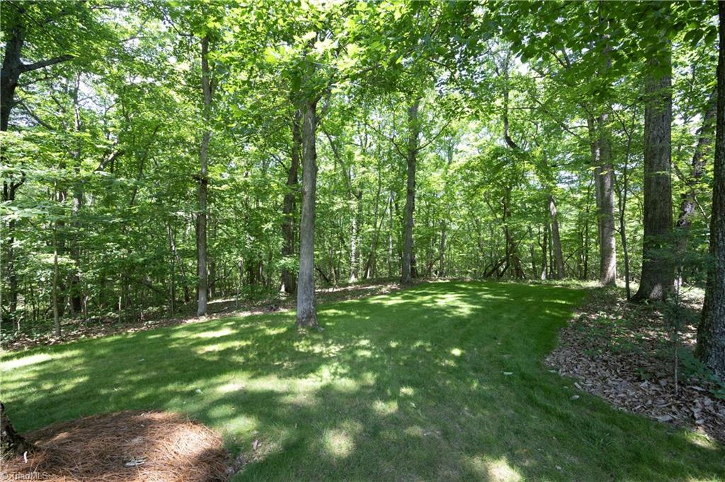 5464 Bass Mountain Road, Snow Camp, North Carolina image 40
