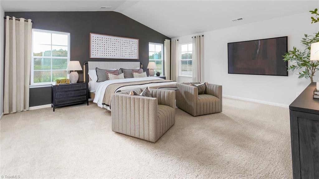 110 Holly Oak Way, Stokesdale, North Carolina image 24