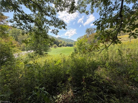 Vacant Land For Sale - 108 E Mill Creek Road<br/> Fleetwood, NC 28684